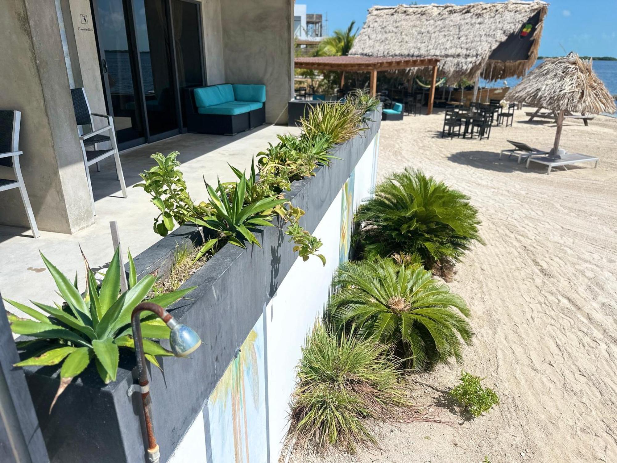 Playa De Sala Boutique Hotel (Adults Only) San Pedro  Exterior foto
