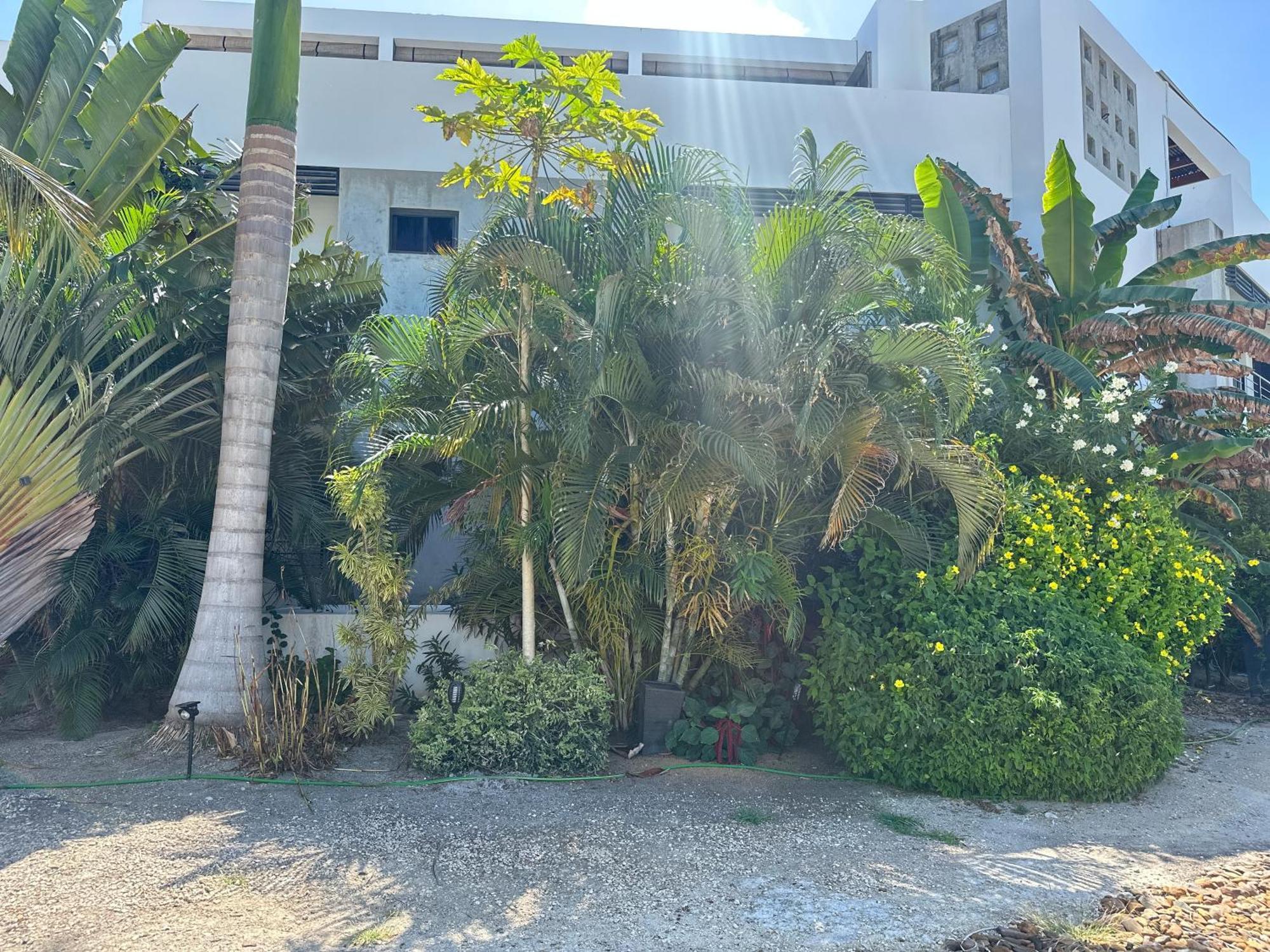 Playa De Sala Boutique Hotel (Adults Only) San Pedro  Exterior foto